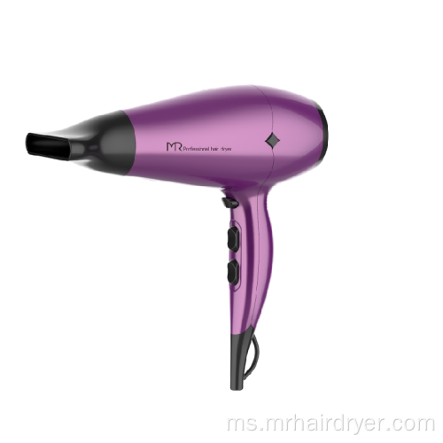 2100W Home Mounted Hair Dryer